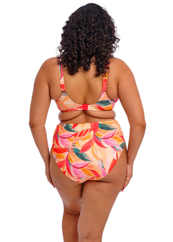ELOMI SWIM Soutien-gorge Sancho Beach Mango – Image 3