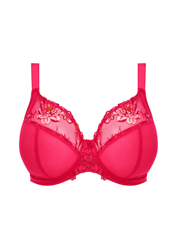 ELOMI Soutien-gorge Teagan Azalea – Image 4