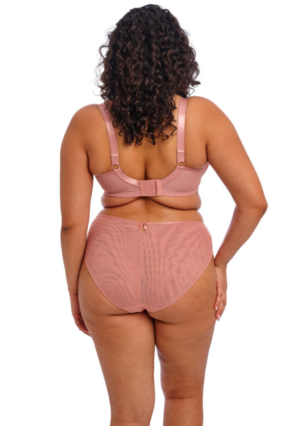 ELOMI Soutien-gorge Padde Teagan Ash Rose – Image 2